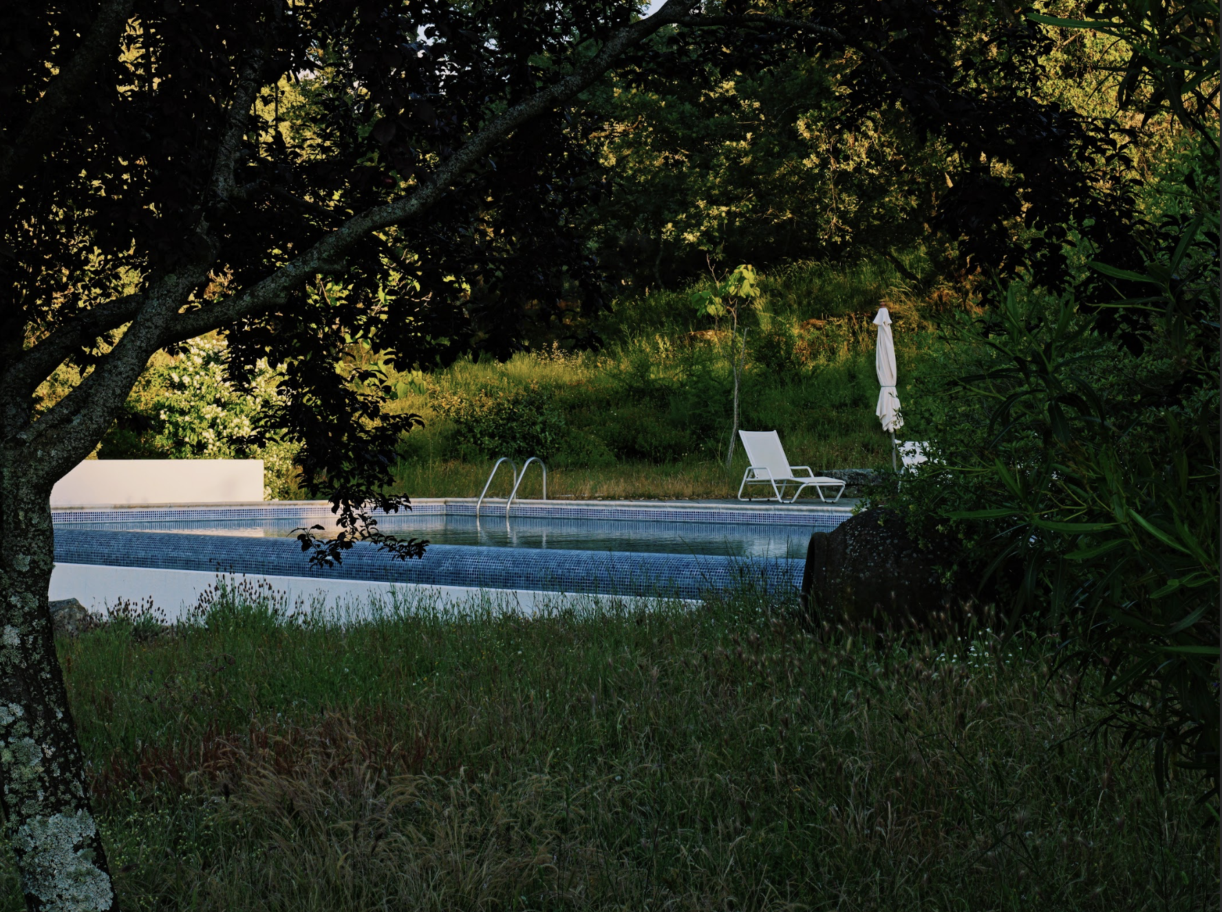 infinity pool with lounge chair seen behind oak trees