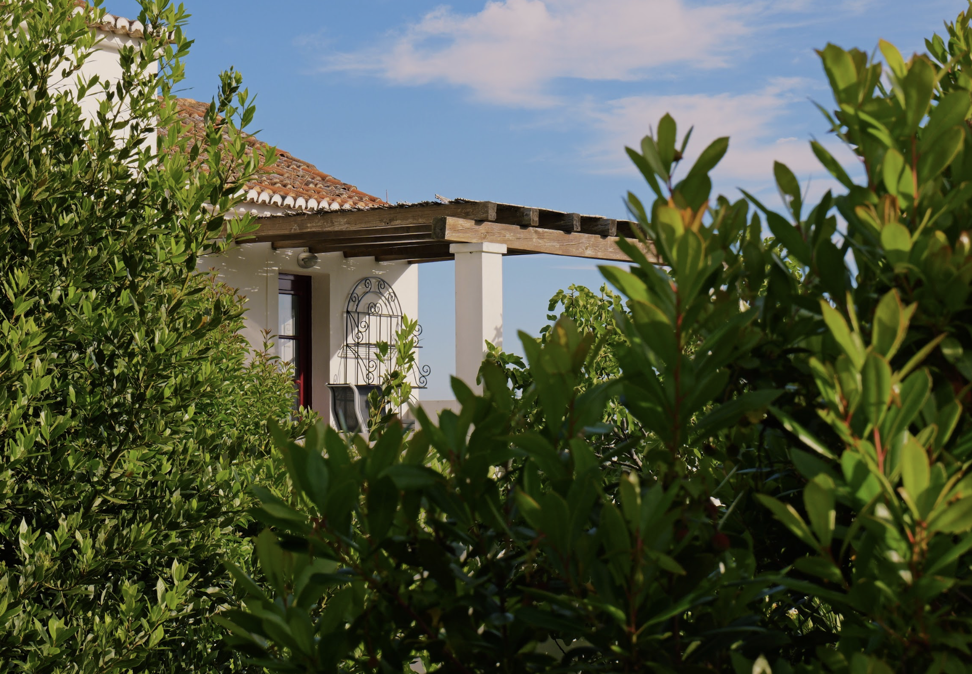 Top terrace behind trees