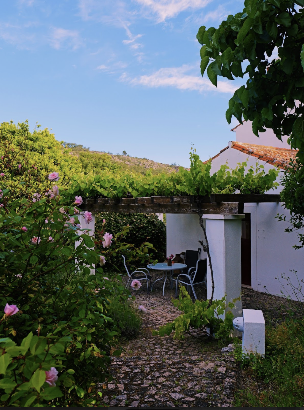 Rose garden with outdoor eating area and vine covered terrace in front of Casa das Rosas