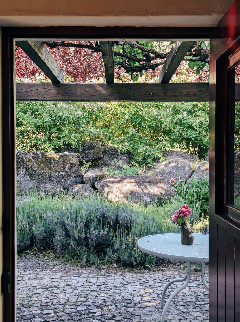 Looking out on vine covered terrace from front door of Casa das Rosas