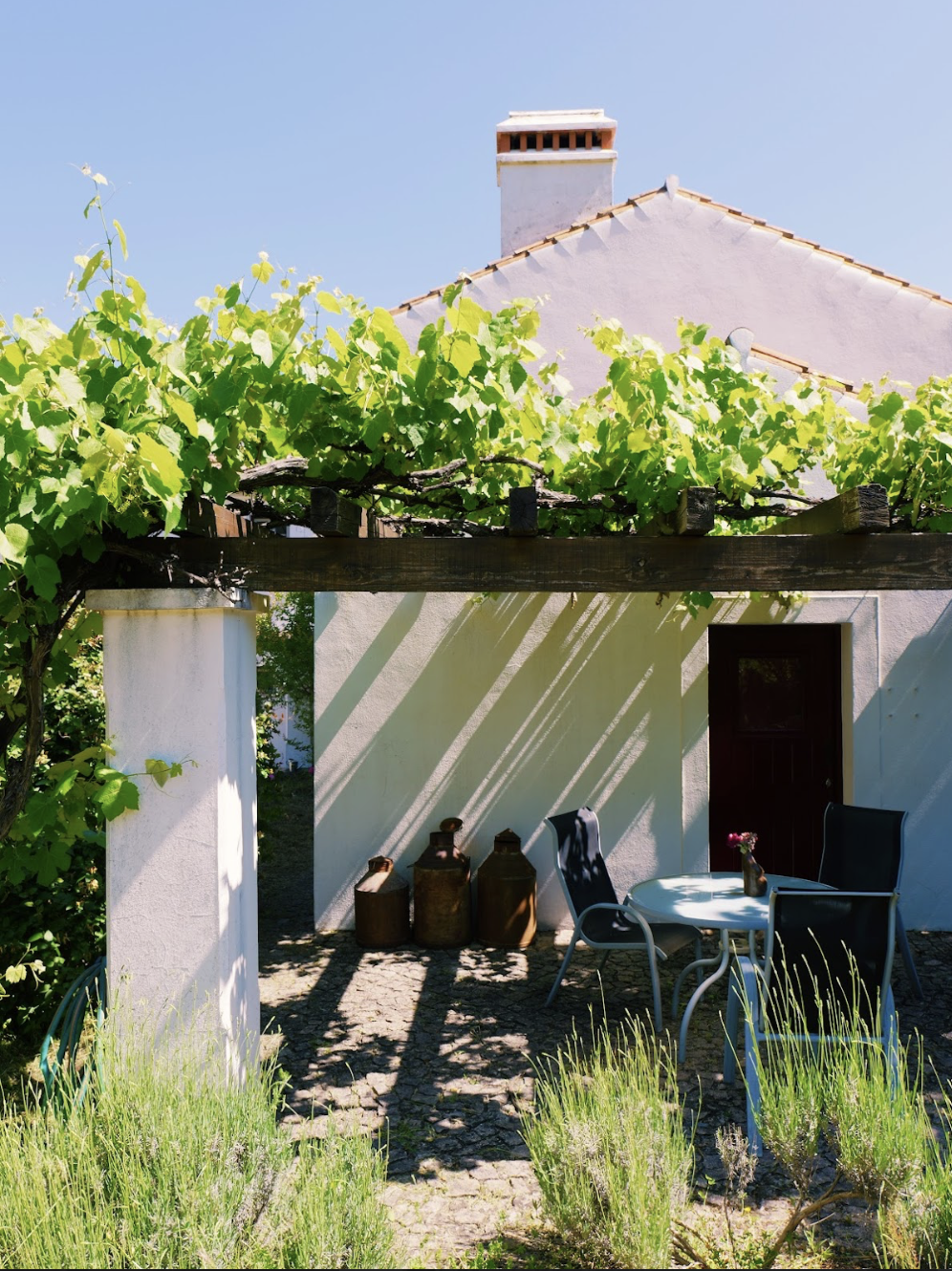 Casa das Rosas terrace with lavender and vines
