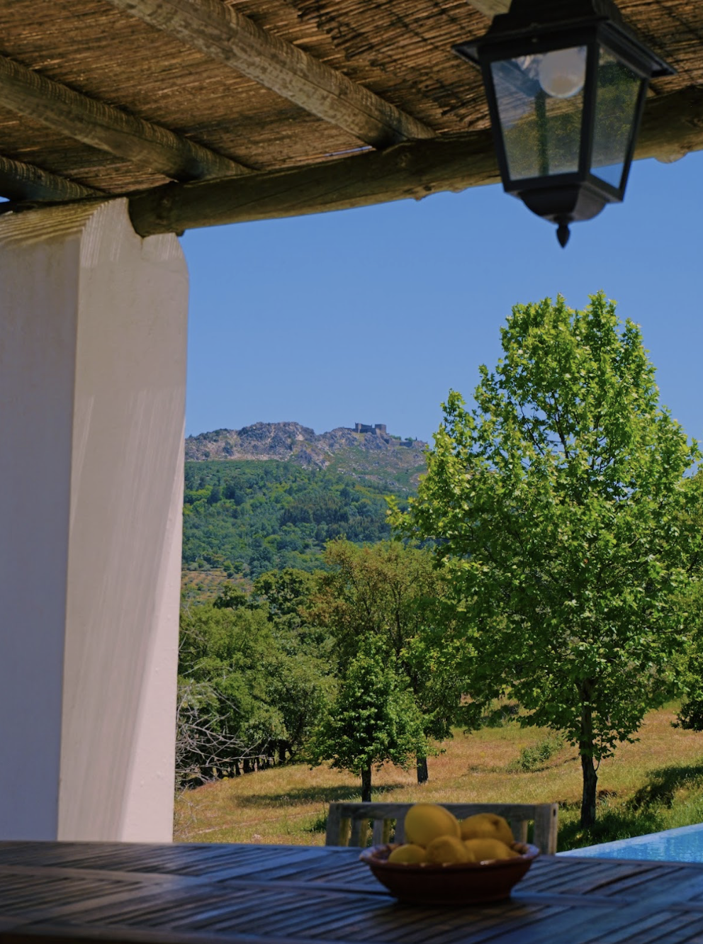fresh picked lemons from the property on outdoor dinning area beside the swimming pool