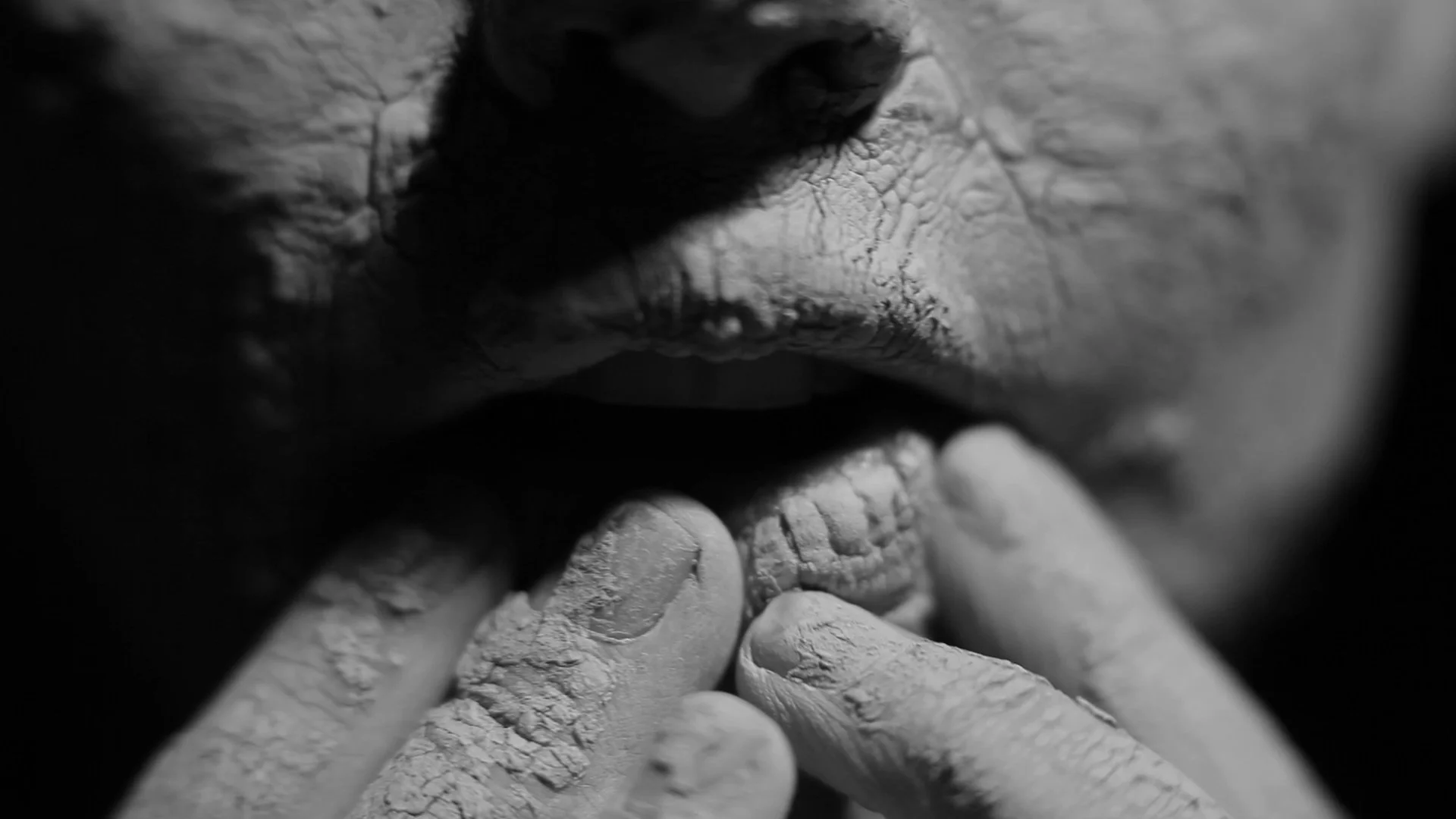 jestem HD.00_01_53_01.Still018.jpg