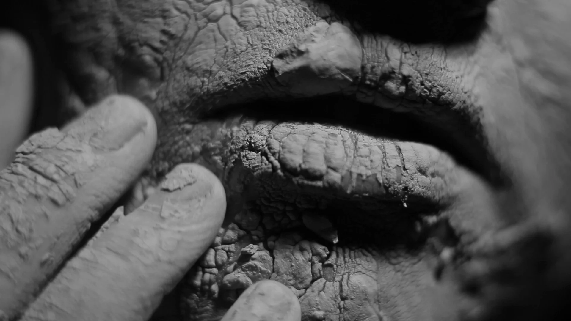 jestem HD.00_00_31_14.Still005.jpg