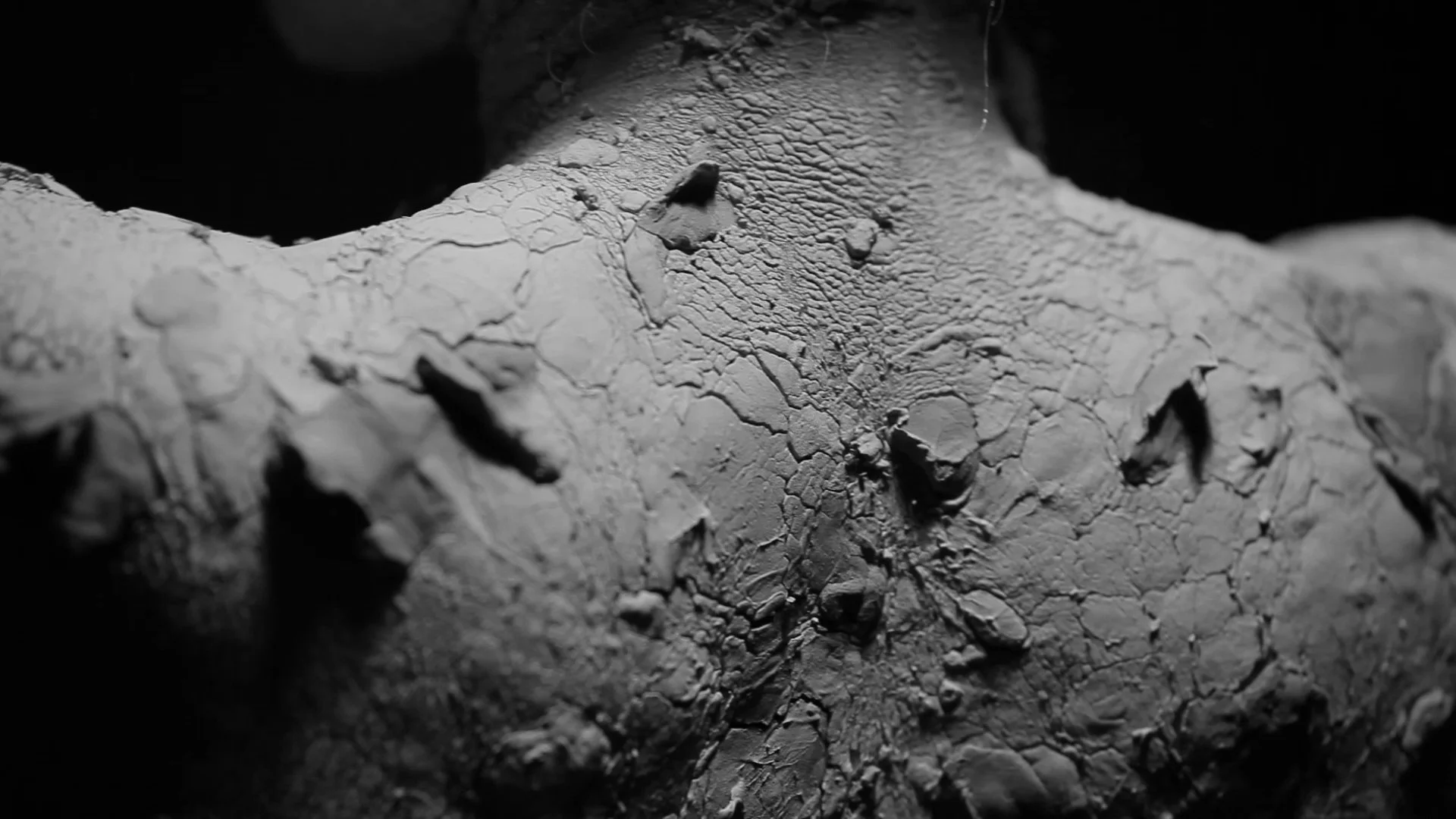 jestem HD.00_01_01_13.Still010.jpg