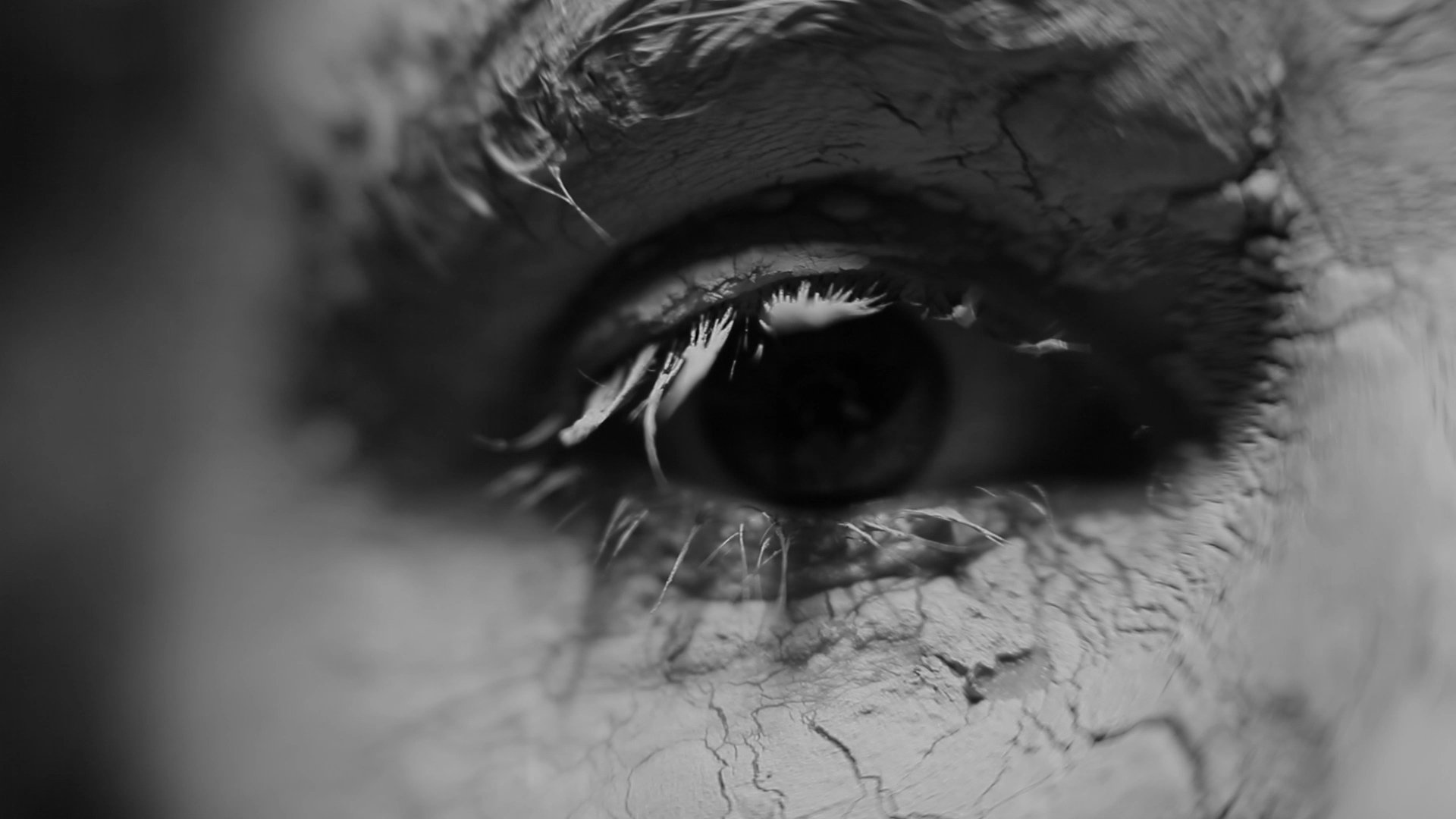 jestem HD.00_00_13_18.Still001.jpg