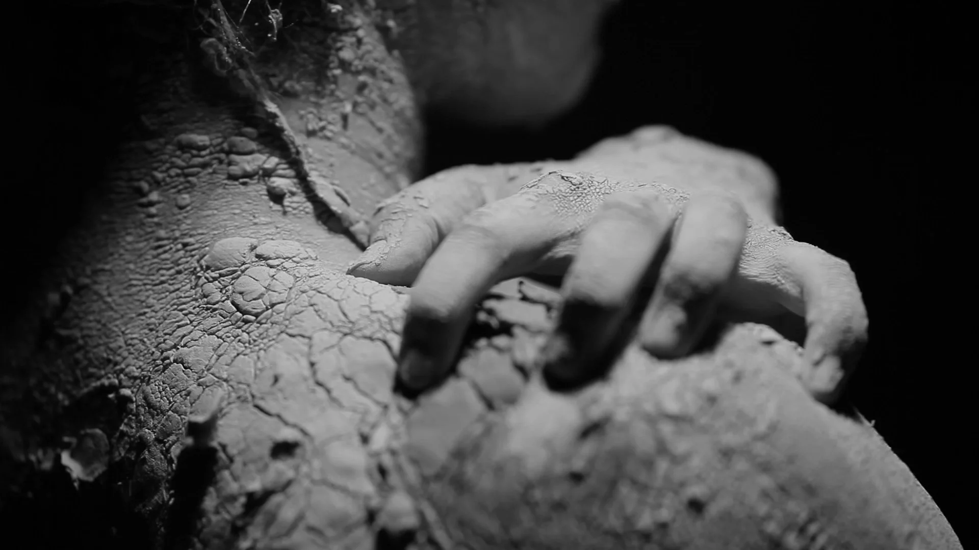 jestem HD.00_01_35_07.Still016.jpg