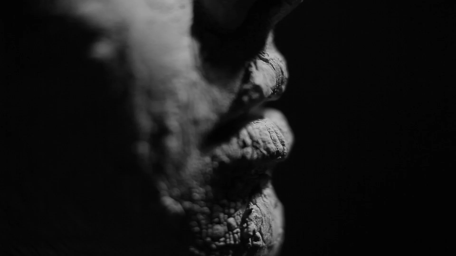 jestem HD.00_00_26_03.Still004.jpg