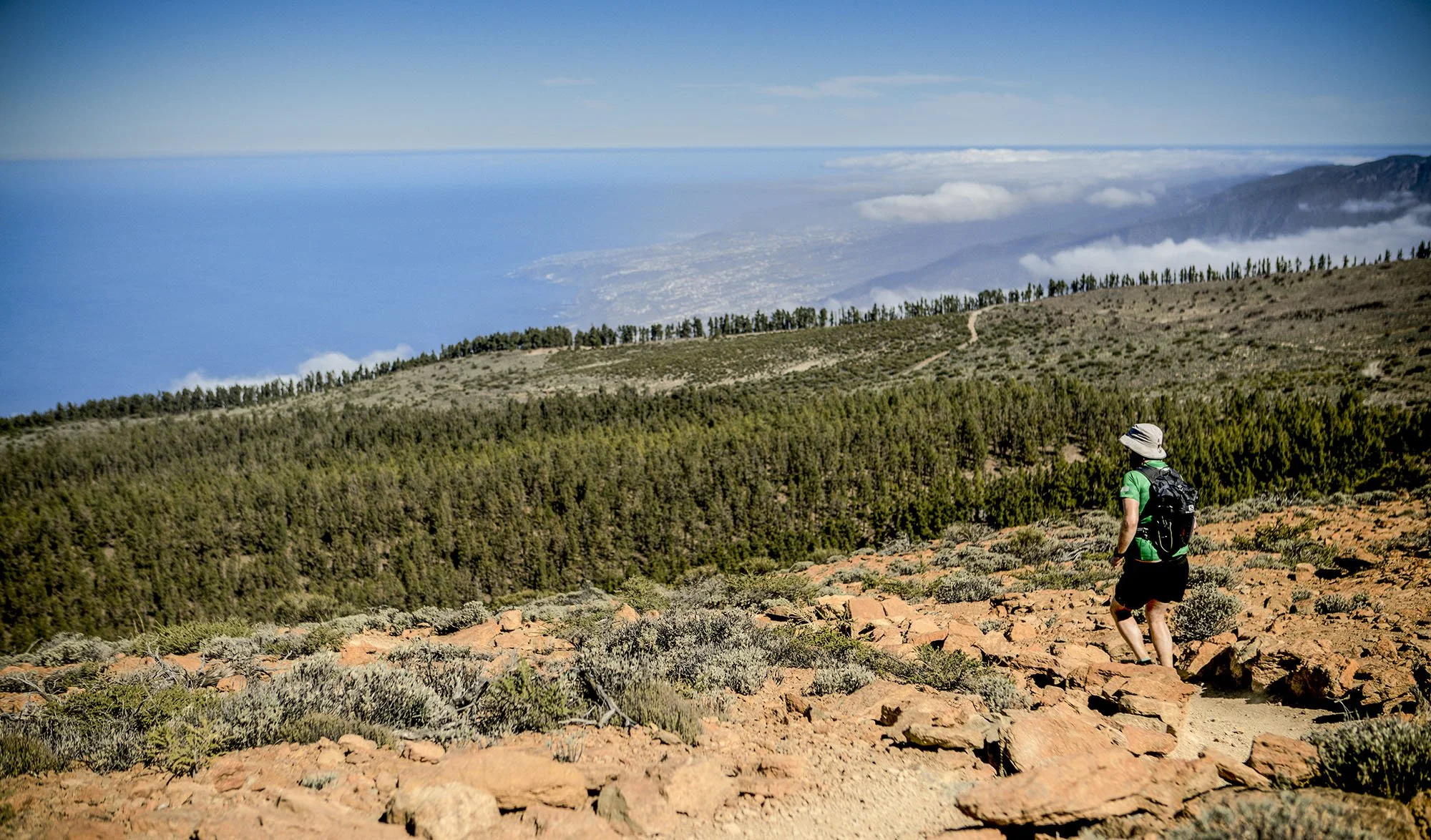 A person hiking on a rocky trail in a mountainous area with green vegetation, pine trees, and an ocean view in the distance under a clear blue sky.