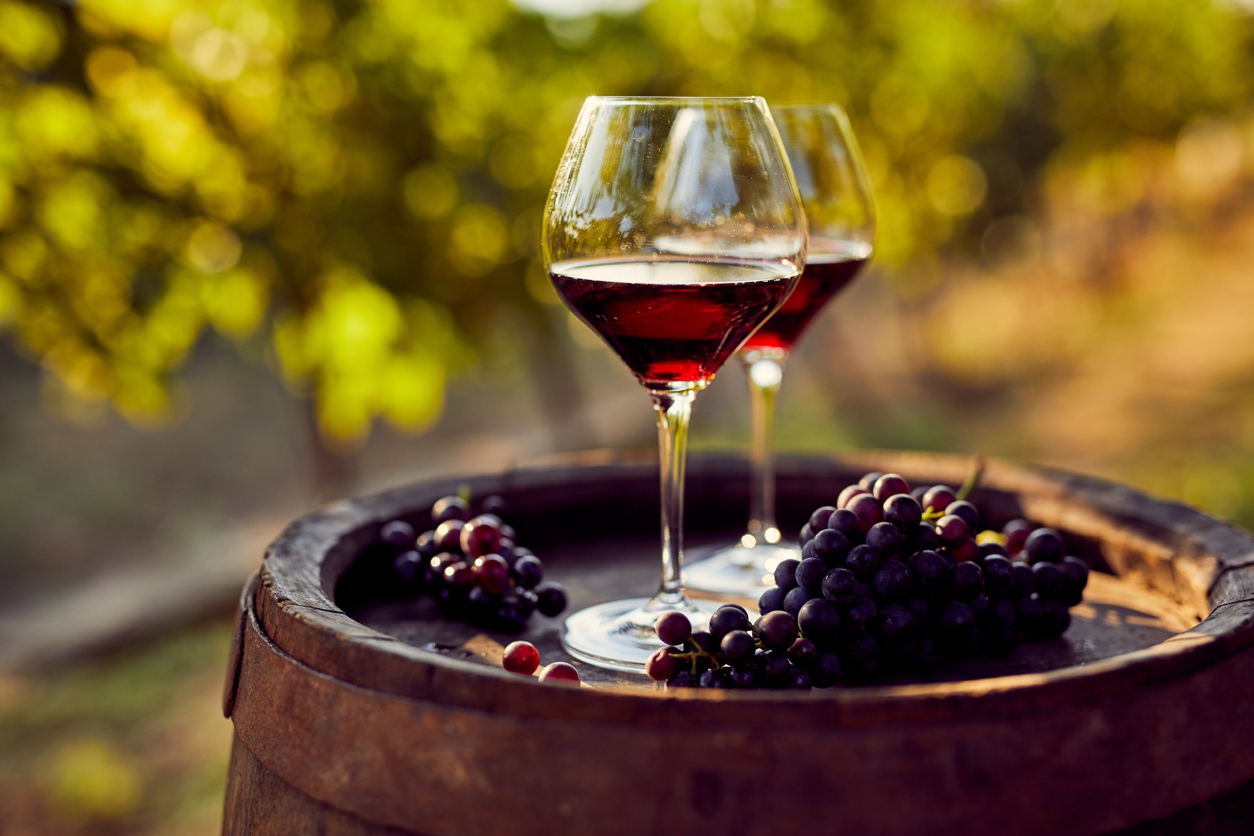 Two glasses of red wine on a wooden barrel surrounded by grape clusters outdoors, with blurred green leaves in the background.