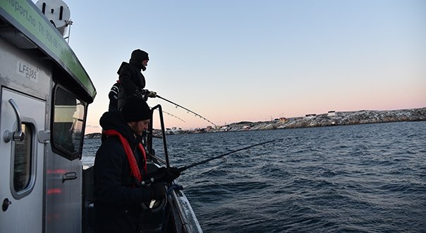 DSC_3053.JPG