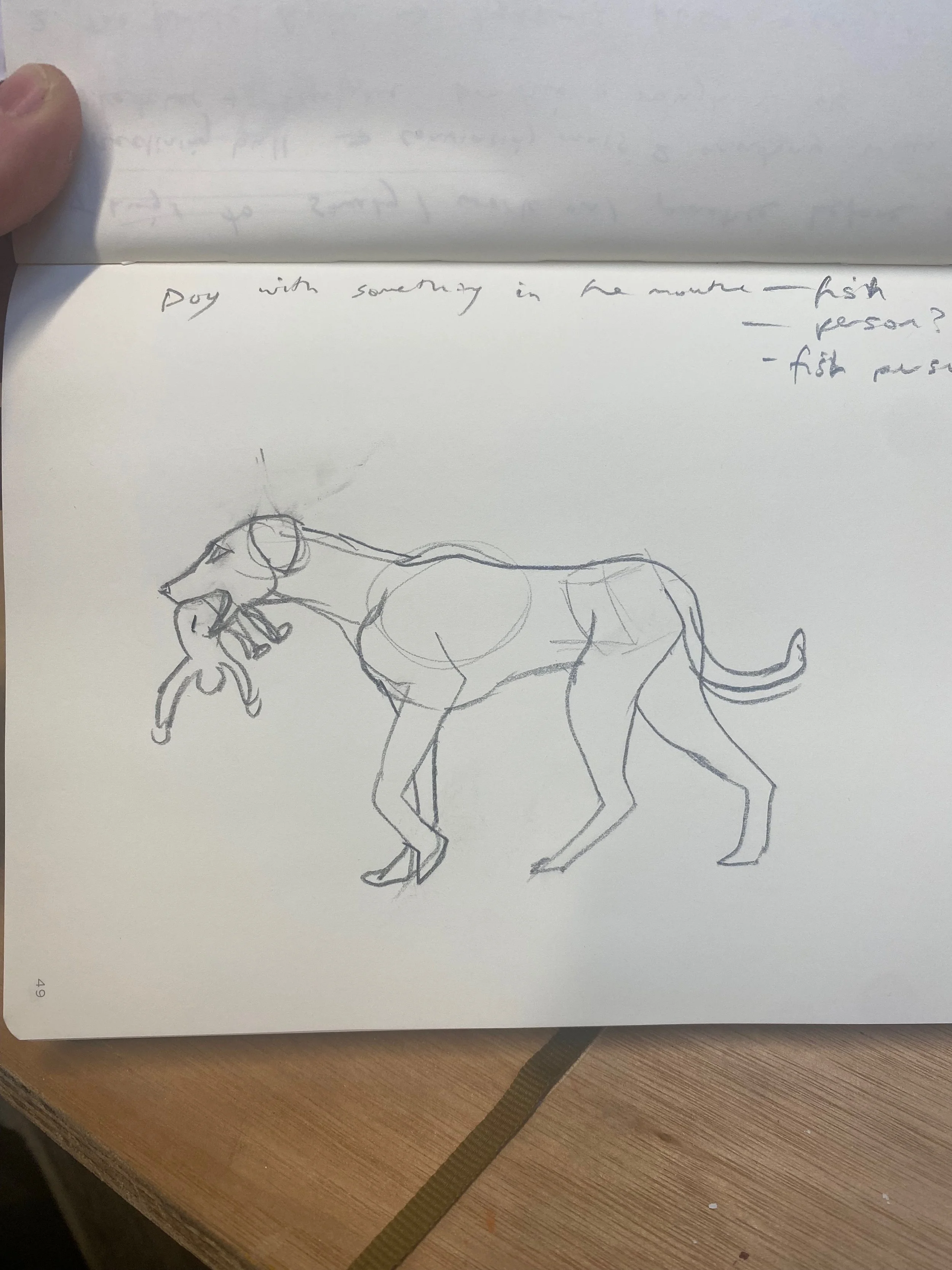 DOG_TOY_SKETCH.jpeg