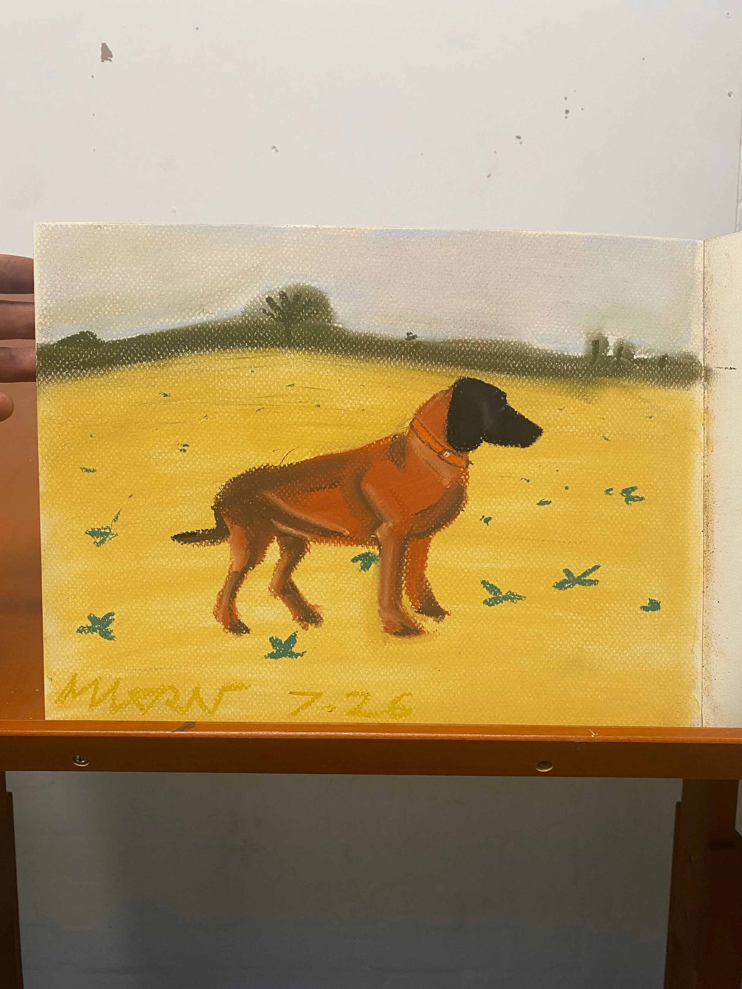 MOUNTAINHOUND_PASTELS.jpeg