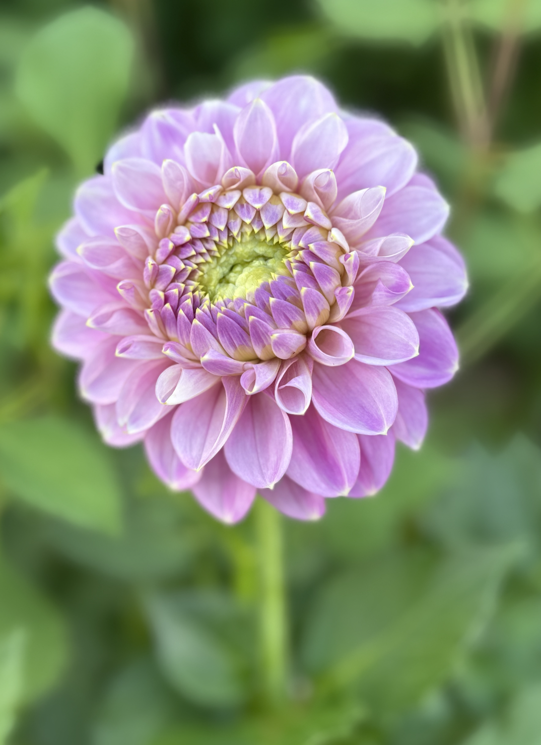 Screenshot 2026-04-22 at 10.21.54 PM.png