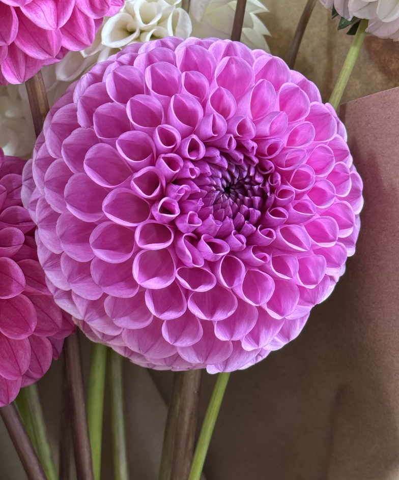 Screenshot 2026-03-23 at 10.13.12 PM.png