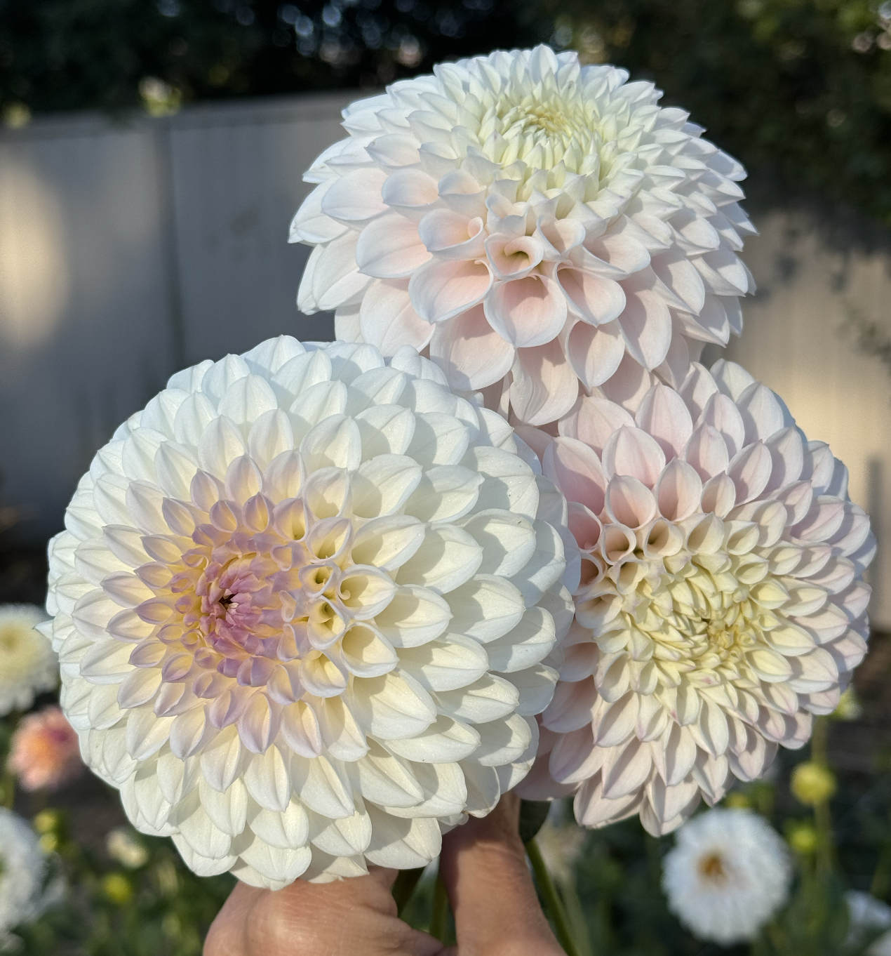 Screenshot 2026-03-24 at 9.58.51 PM.png