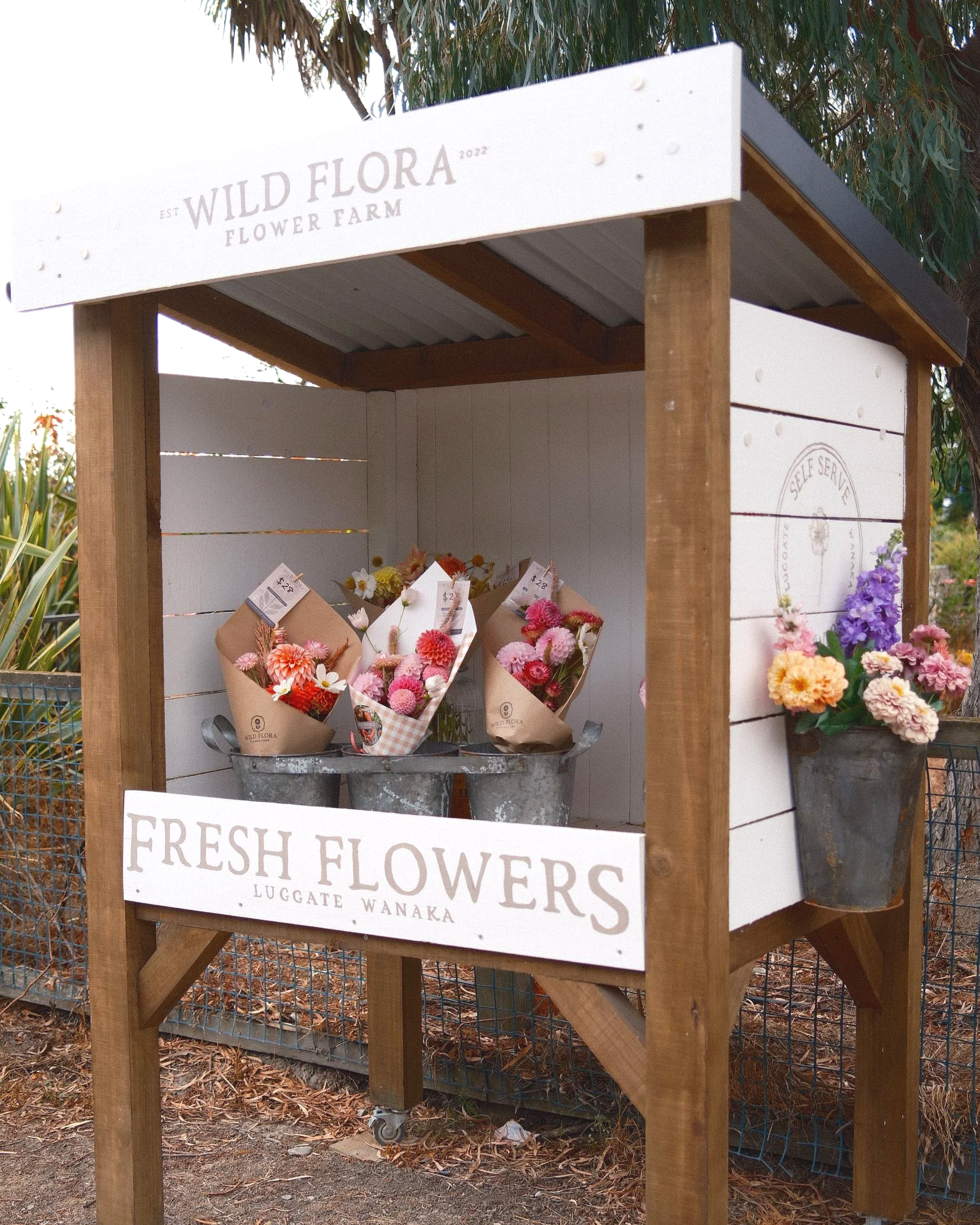 Flower Stand in Luggate