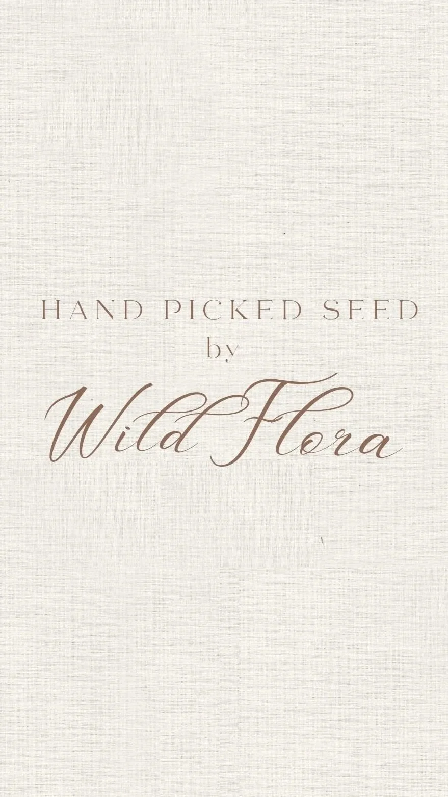 Red+White+Minimal+SImple+Vintage+Typographic+Fashion+Store+Berry+Logo.jpg