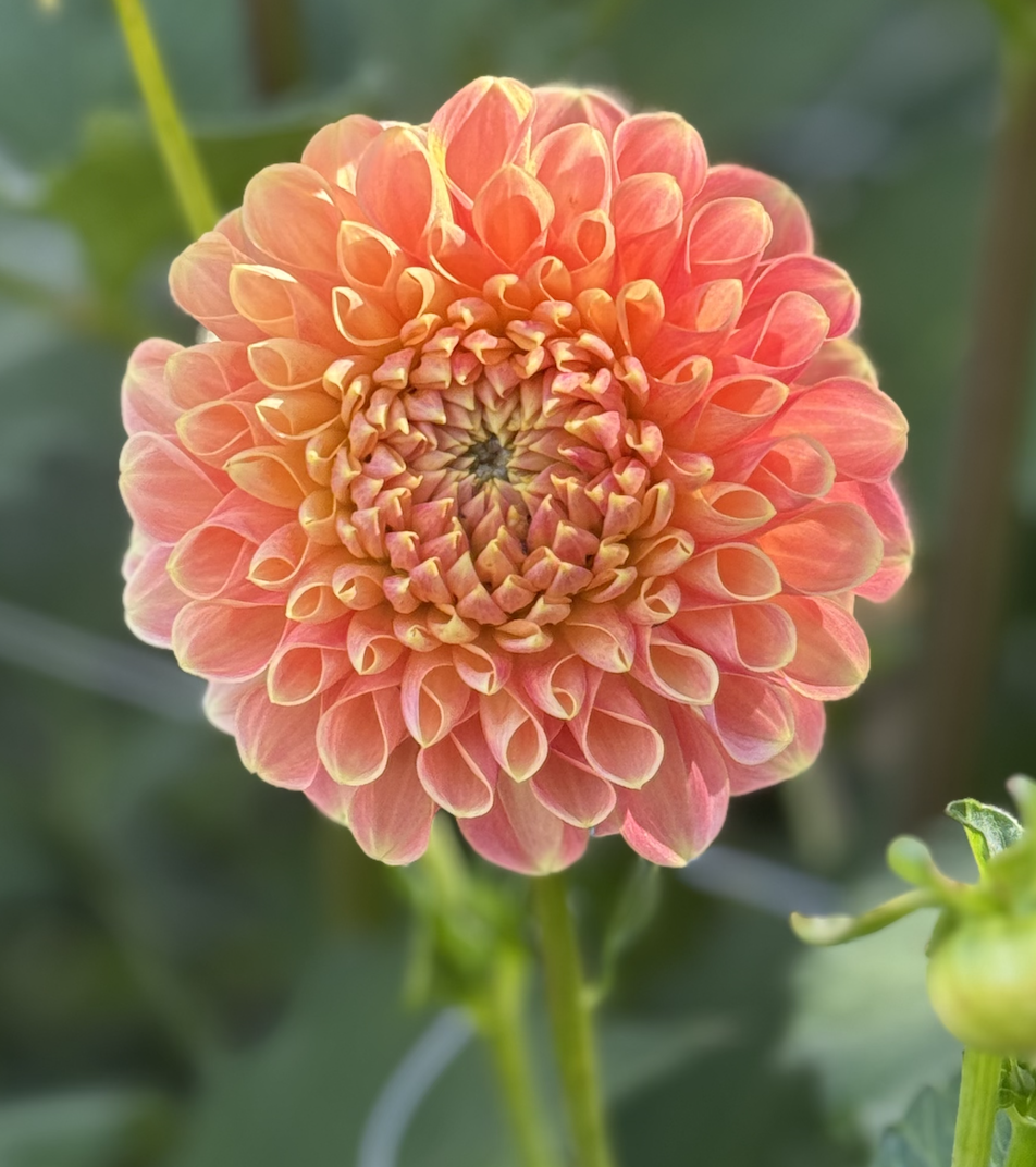 Screenshot 2026-03-25 at 6.16.25 PM.png