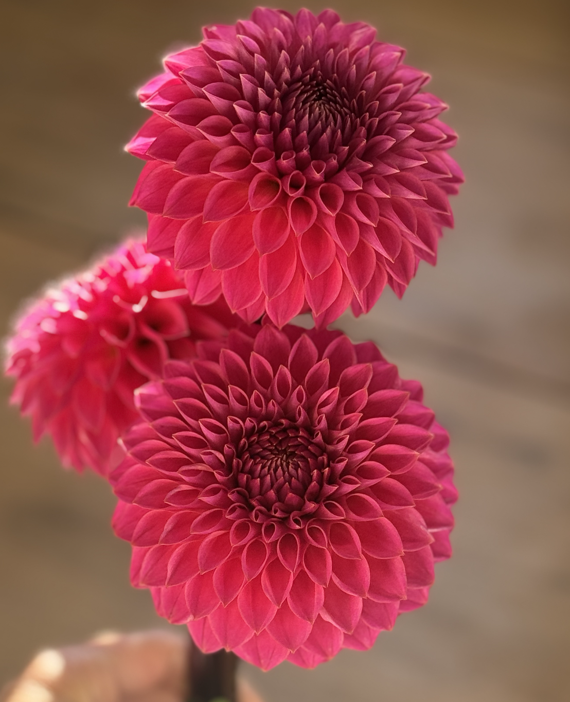 Screenshot 2026-03-23 at 12.27.34 PM.png