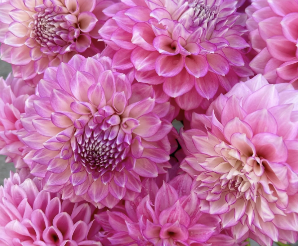 Screenshot 2026-03-25 at 9.32.18 PM.png