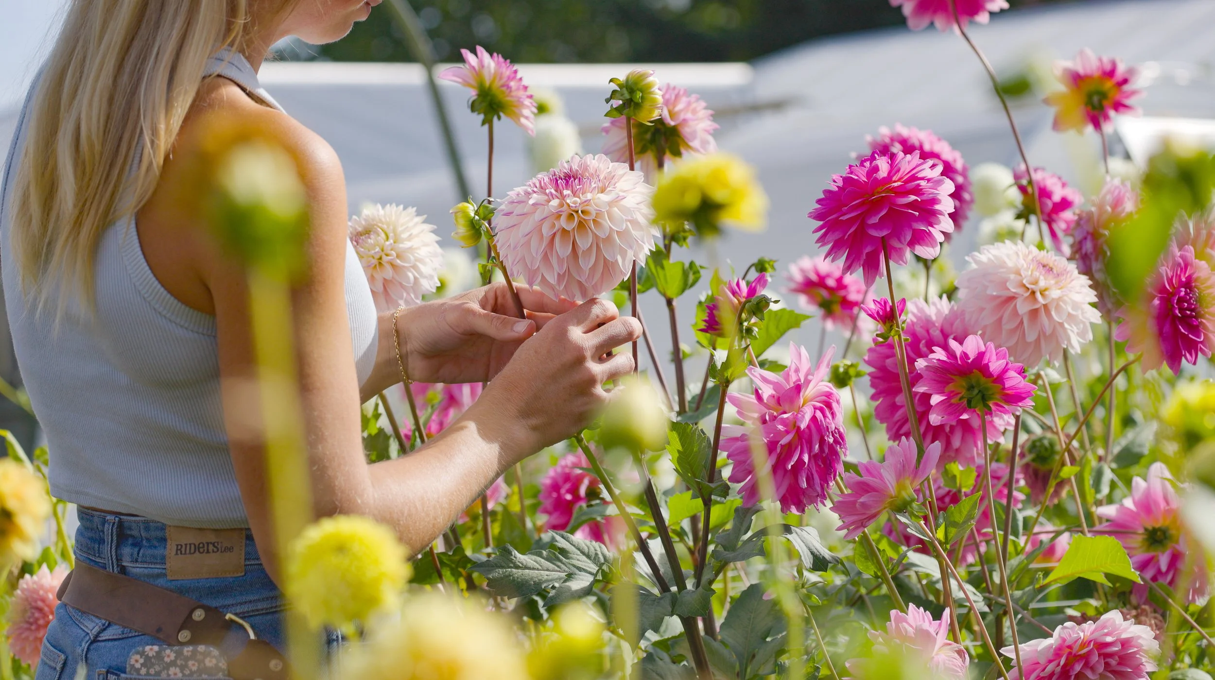 Screenshot 2026-04-19 at 9.19.27 PM.jpg