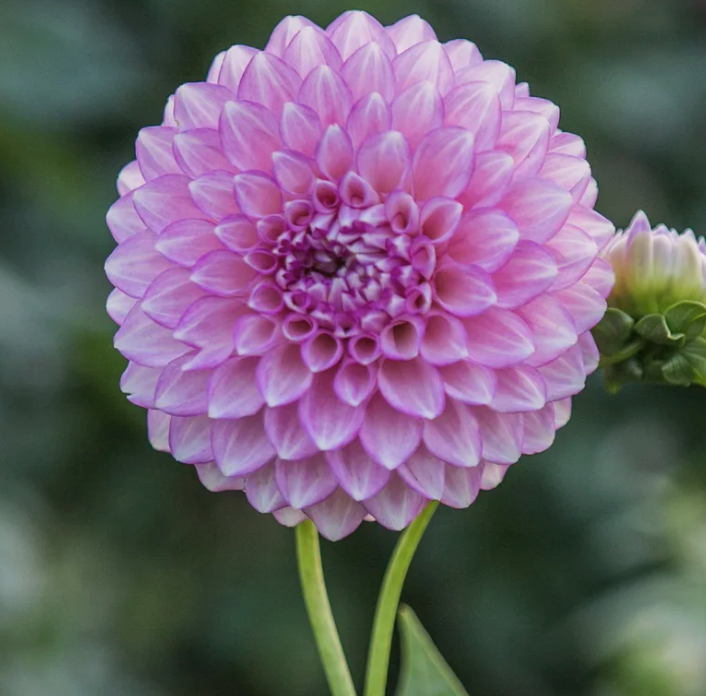 Screenshot 2026-03-25 at 9.31.40 PM.png