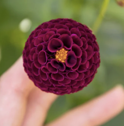 Screenshot 2026-03-24 at 9.54.12 PM.png