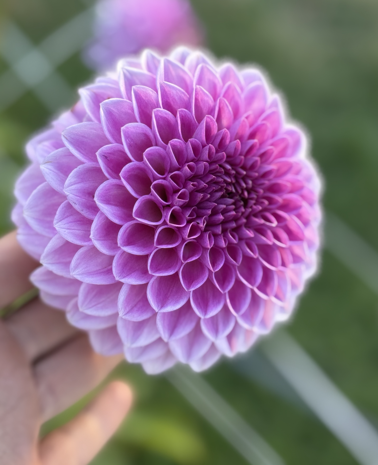 Screenshot 2026-03-23 at 12.47.28 PM.png