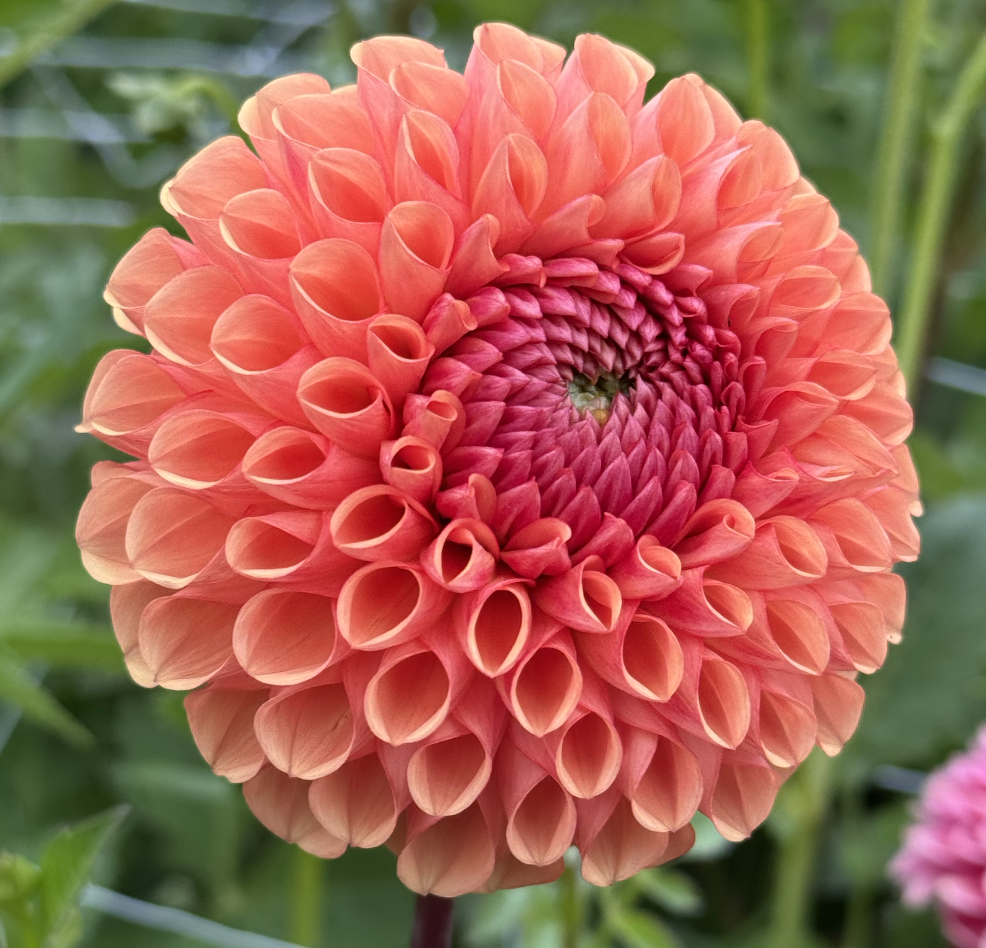 Screenshot 2026-04-22 at 10.21.46 PM.png