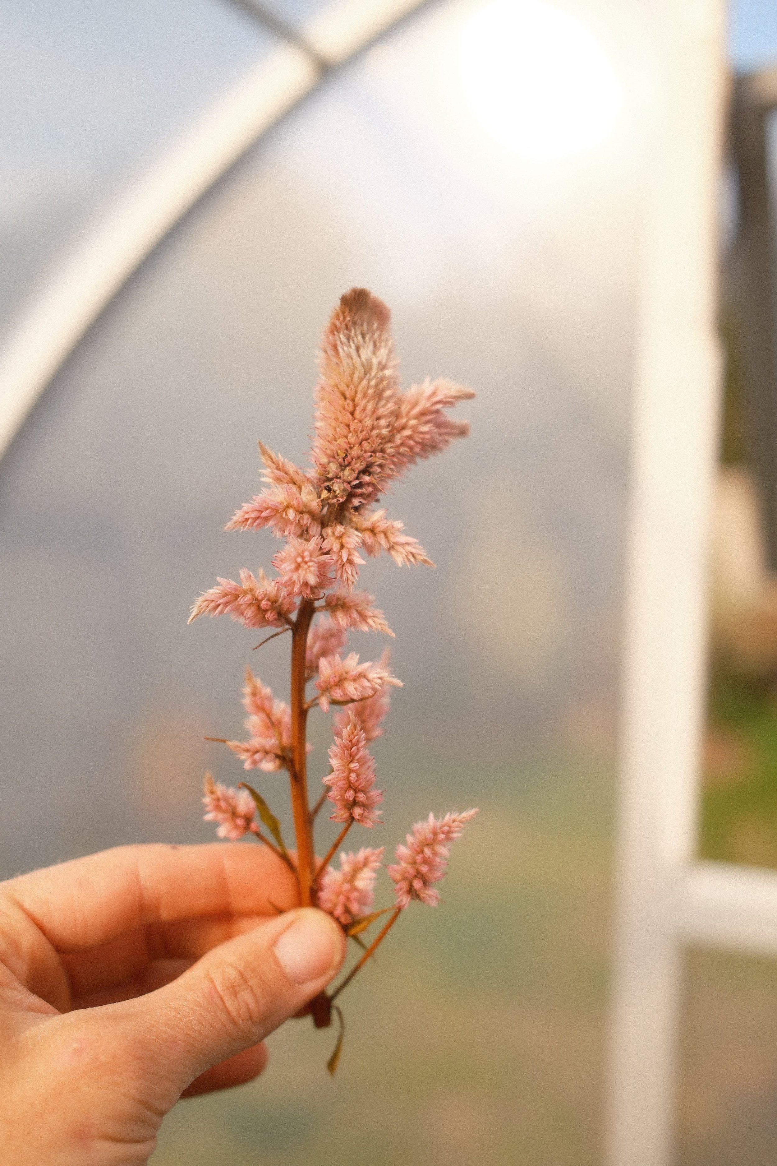DSCF1588.JPG
