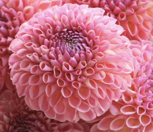 Screenshot 2026-03-24 at 9.46.59 PM.png