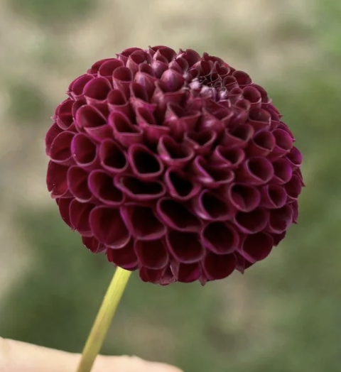 Screenshot 2026-03-24 at 9.54.38 PM.png