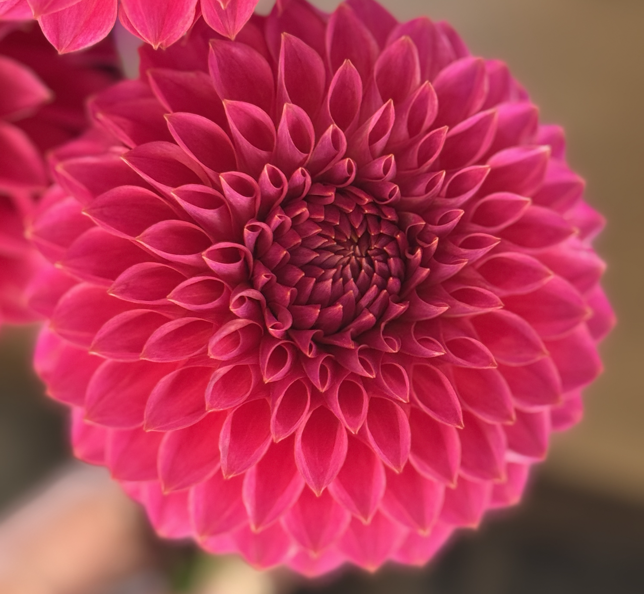 Screenshot 2026-03-23 at 12.27.50 PM.png