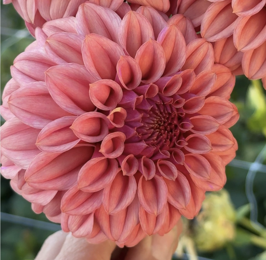 Screenshot 2026-03-24 at 10.02.59 PM.png