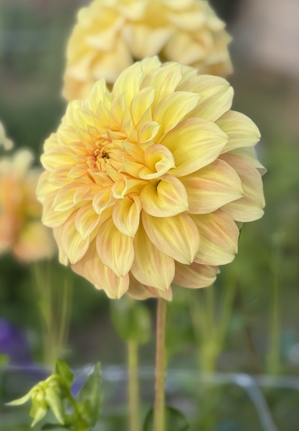 Screenshot 2026-03-23 at 8.31.52 PM.png