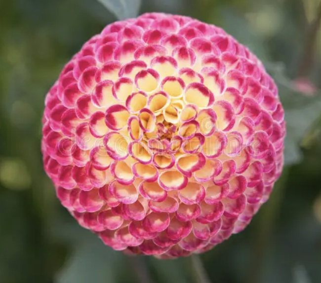 Screenshot 2026-03-24 at 10.05.28 PM.png