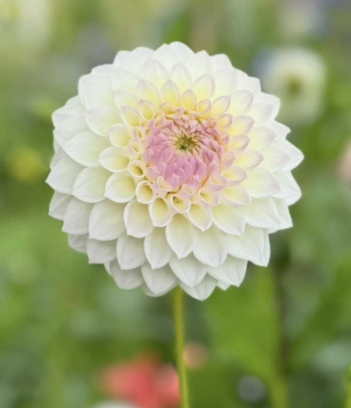 Screenshot 2026-03-25 at 6.18.57 PM.png