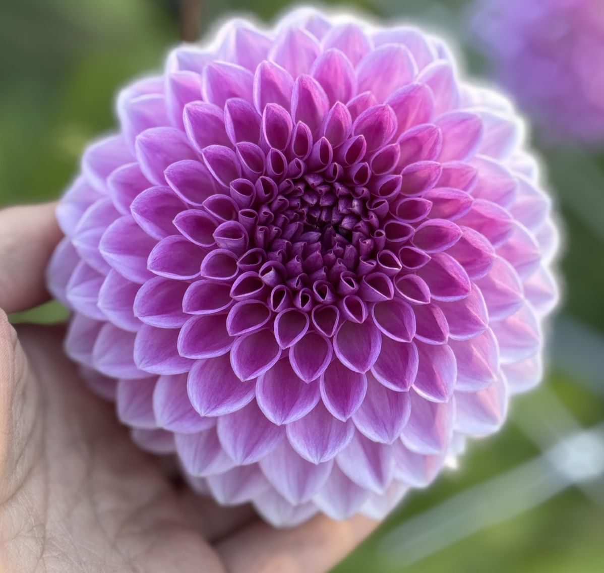 Screenshot 2026-03-23 at 12.47.12 PM.png