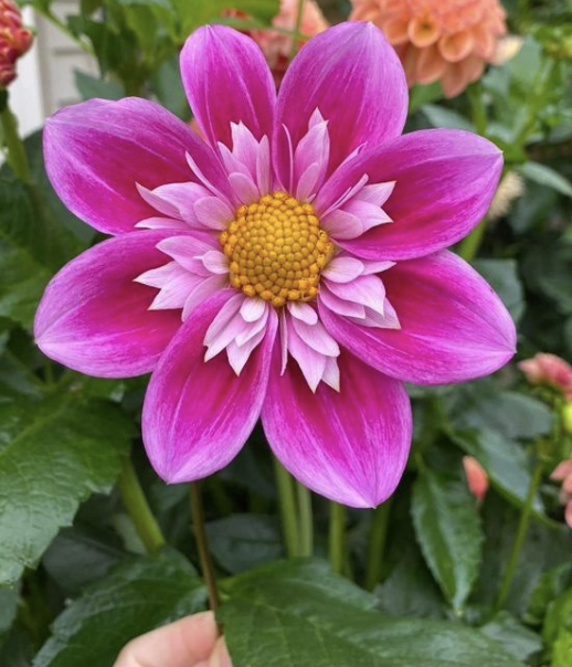 Screenshot 2026-03-24 at 9.50.59 PM.png