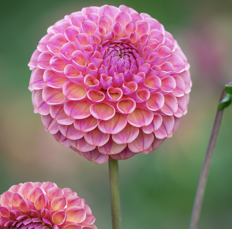 Screenshot 2026-03-24 at 9.26.05 PM.png