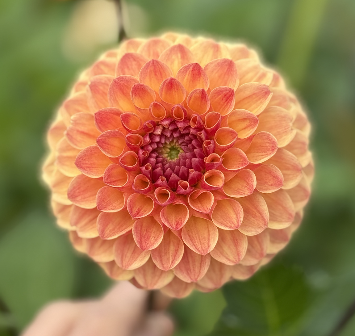 Screenshot 2026-04-22 at 10.21.24 PM.png