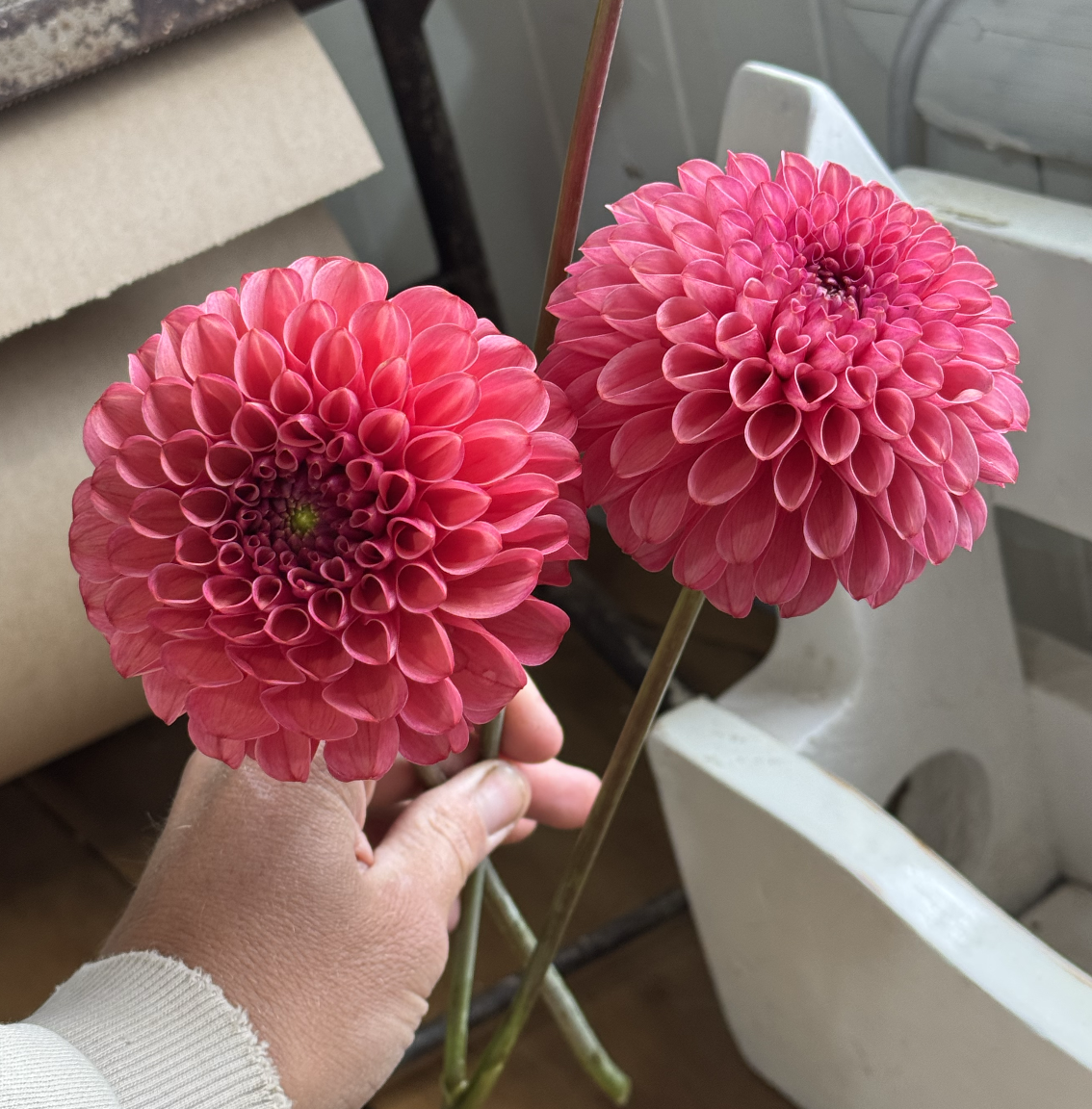 Screenshot 2026-03-23 at 1.15.58 PM.png