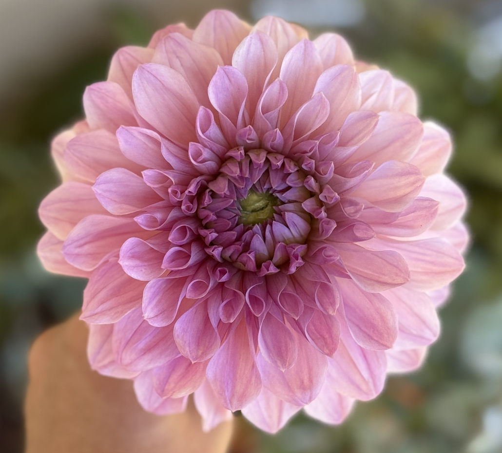 Screenshot 2026-03-25 at 6.14.23 PM.png