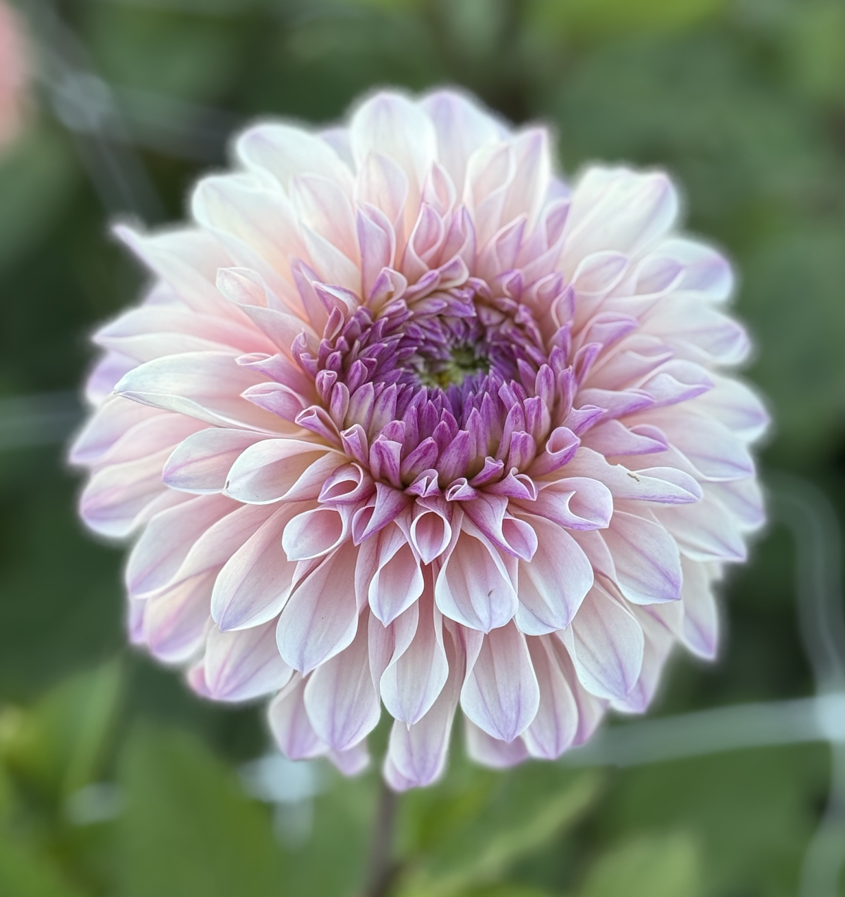 Screenshot 2026-03-23 at 12.51.35 PM.png