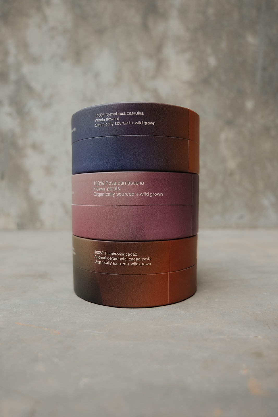 Viviane Vallendar Photography - PlantAlly-26.JPG