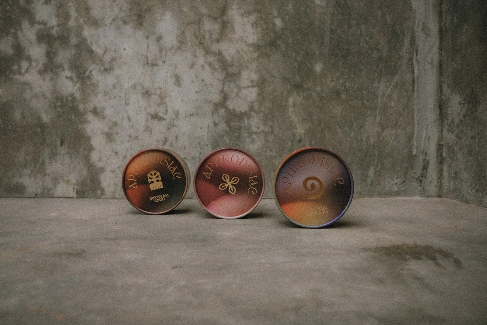 Viviane Vallendar Photography - PlantAllytest-2.JPG