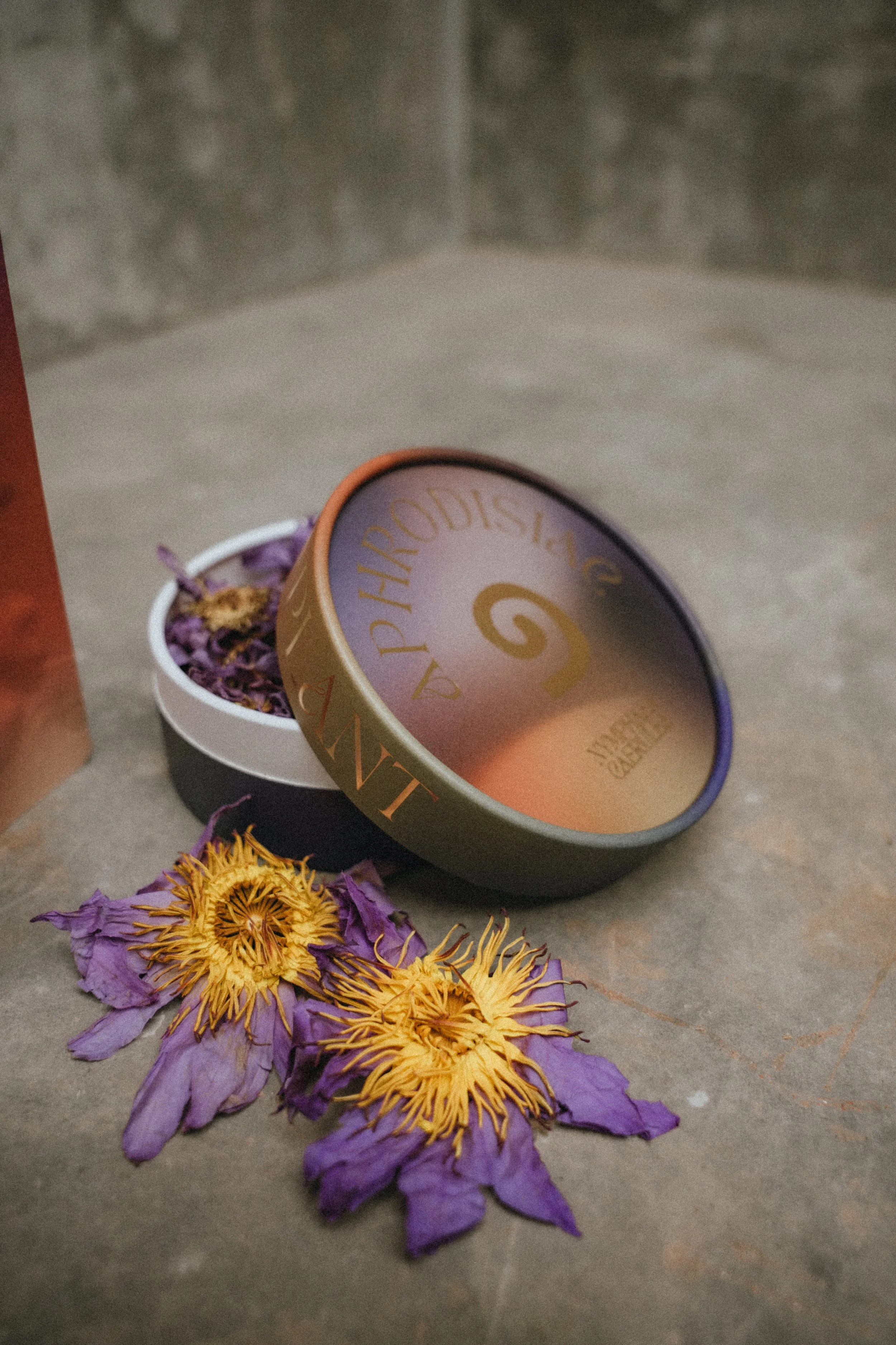 Viviane Vallendar Photography - PlantAllytest-10.jpg