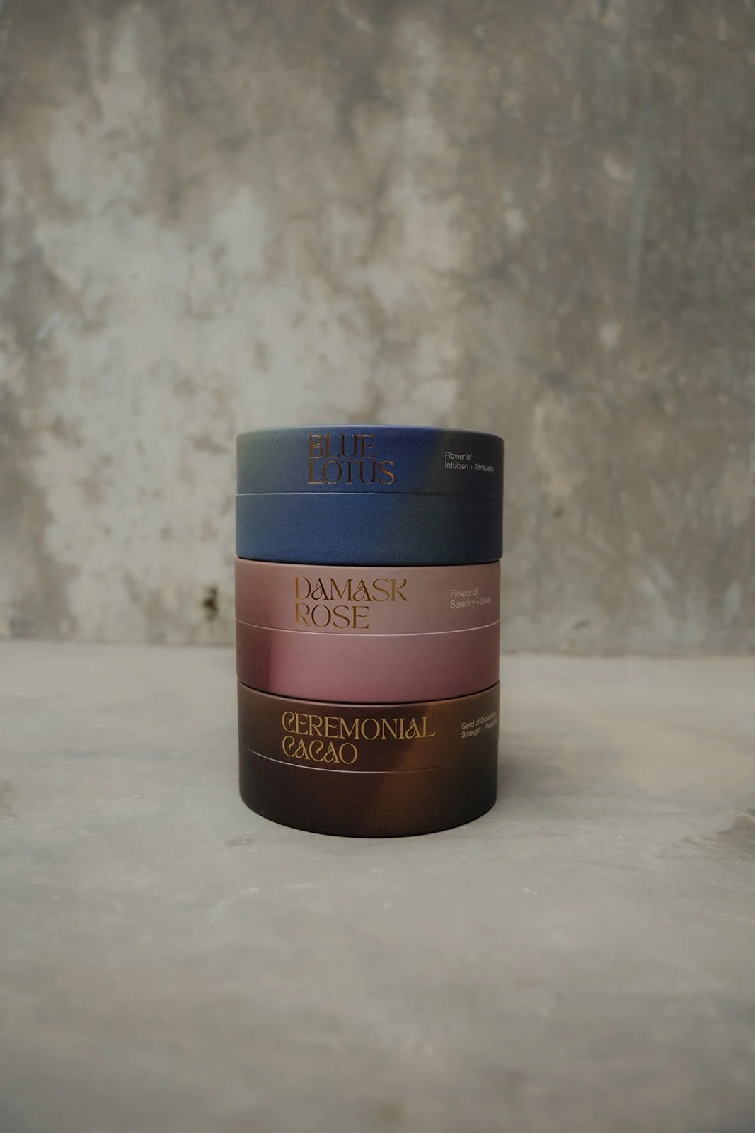 Viviane Vallendar Photography - PlantAlly-24.JPG