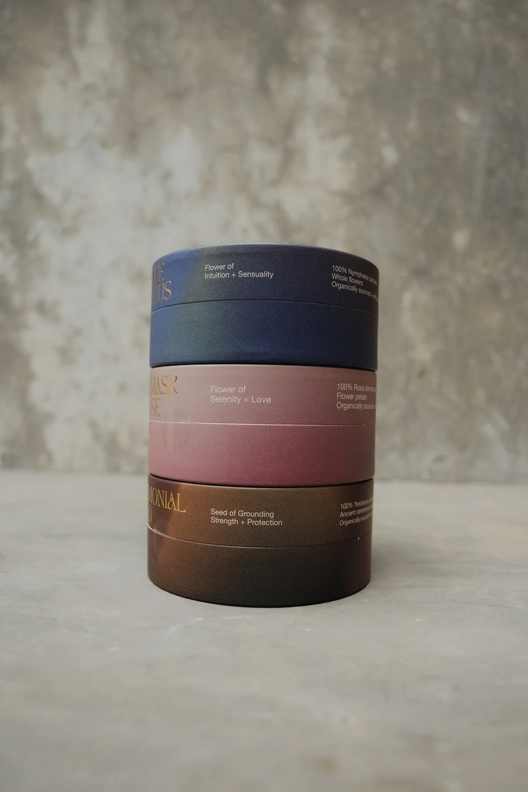 Viviane Vallendar Photography - PlantAlly-25.JPG